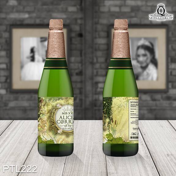 Invitaciones de XV años de la Princesa Tiana - PTL222