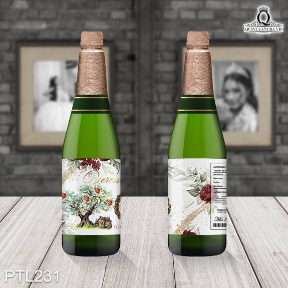 Invitaciones de 15 años de la Princesa Blanca Nieves - PTL231